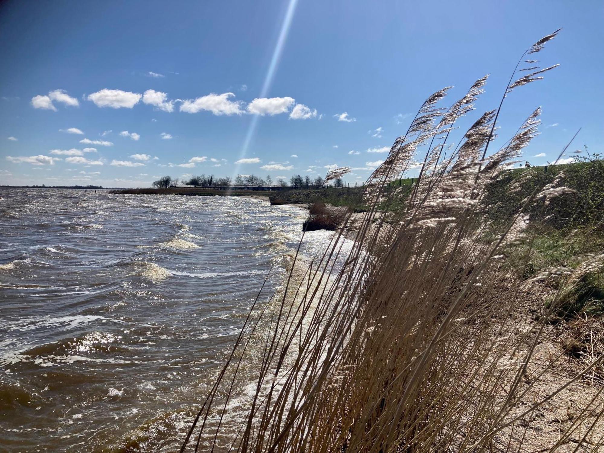 Haus Gaby Direkt Am Lauwersmeer Anjum Экстерьер фото